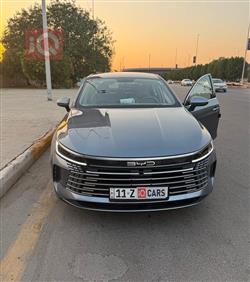 بي واي دي ديستروير 05